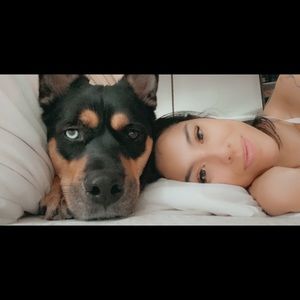 Meet your Posher, Jordan